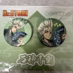 2026年最新】dr.stone 缶バッジ 千空の人気アイテム - メルカリ