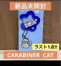 2026年最新】ТWS キーホルダーの人気アイテム - メルカリ