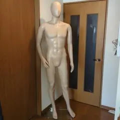 マネキン全身 男性【ダイセイ】 約185cm ガラスベース付き - メルカリ