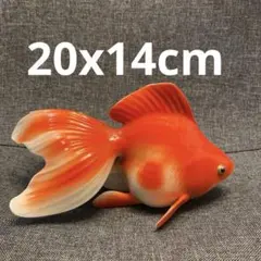 2026年最新】ノリタケ 金魚の人気アイテム - メルカリ