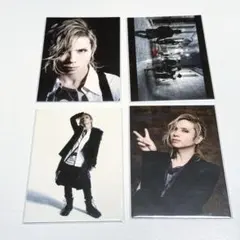 2026年最新】acid black cherry トレカの人気アイテム - メルカリ