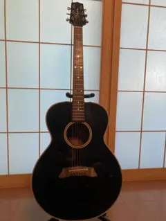2026年最新】Takamine PT-105の人気アイテム - メルカリ