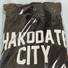 新品未開封GLAY 限定品HAKODATE CITYパーカー ver.2