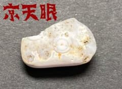 石川県産陰陽石龍石サンダーエッグ瑪瑙国産鉱物標本原石めのう