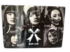 BAND-MAID 会場限定非売品ポスター小鳩ミク&SAIKI 未使用