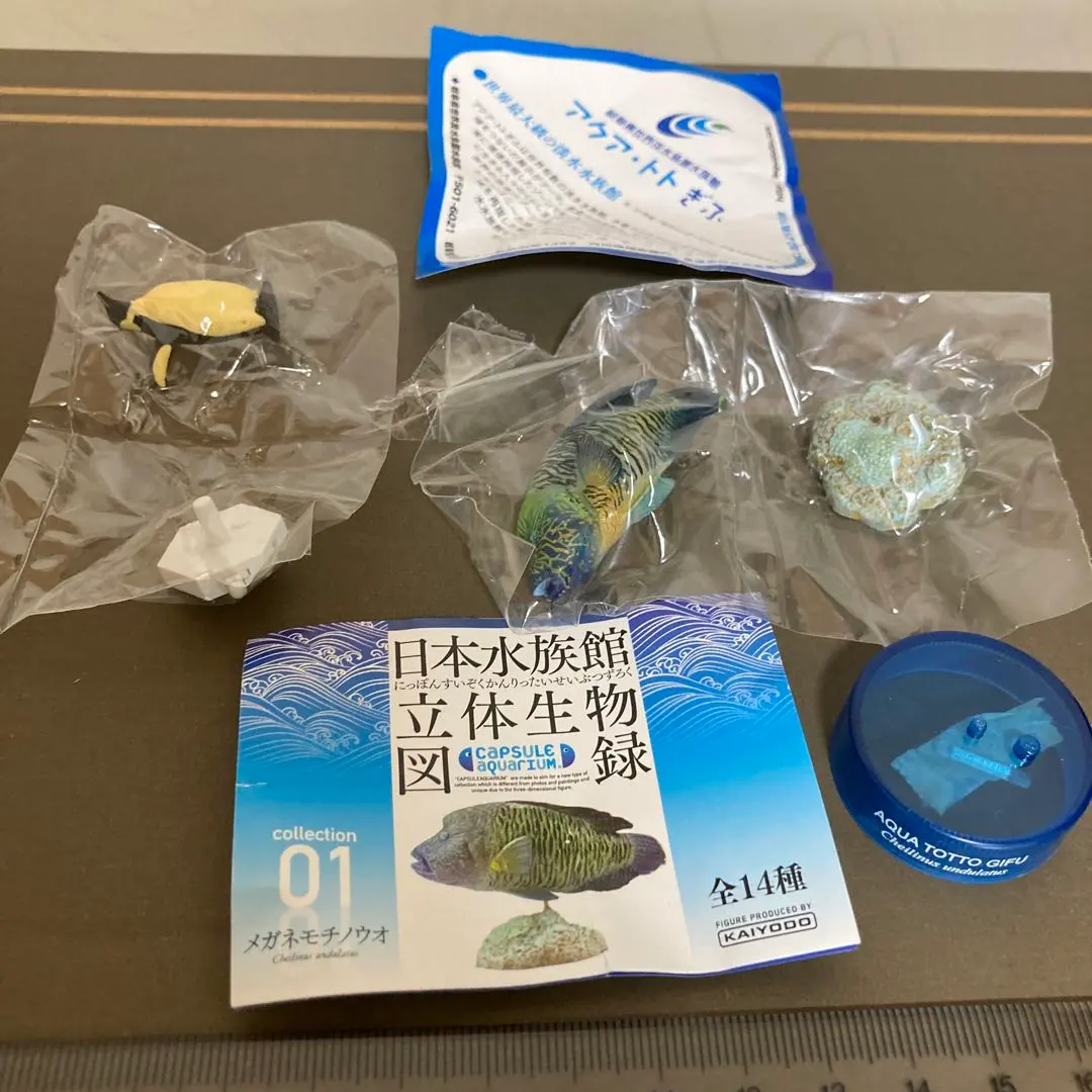 秋の収穫祭】日本水族館立体生物図録 第4巻〈全14種〉フル