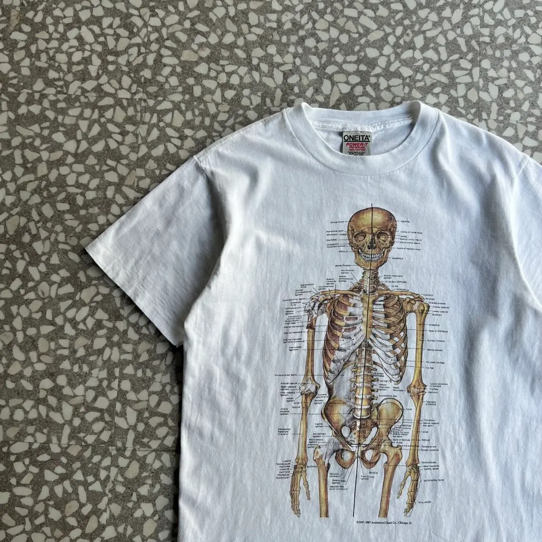 2026年最新】人体模型 tシャツの人気アイテム - メルカリ