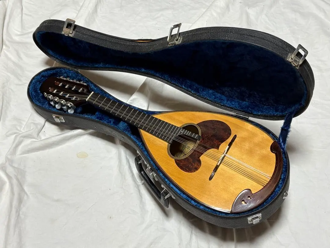 2026年最新】マンドリン M-30の人気アイテム - メルカリ