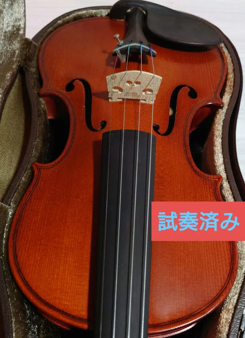 2026年最新】バイオリン GLIGAの人気アイテム - メルカリ