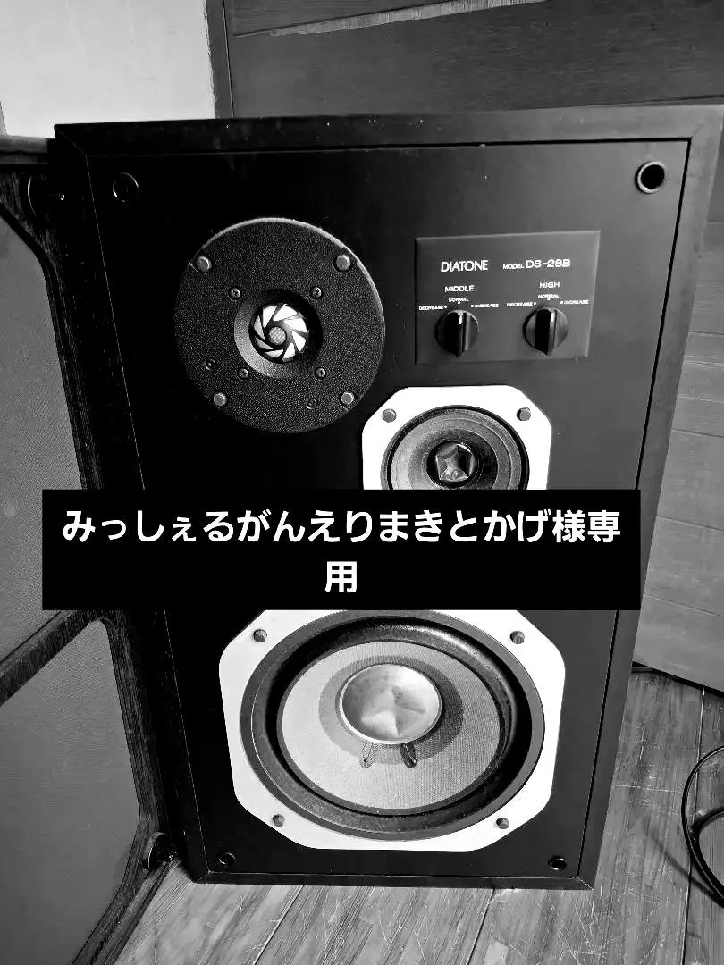 2026年最新】diatone ds-251の人気アイテム - メルカリ