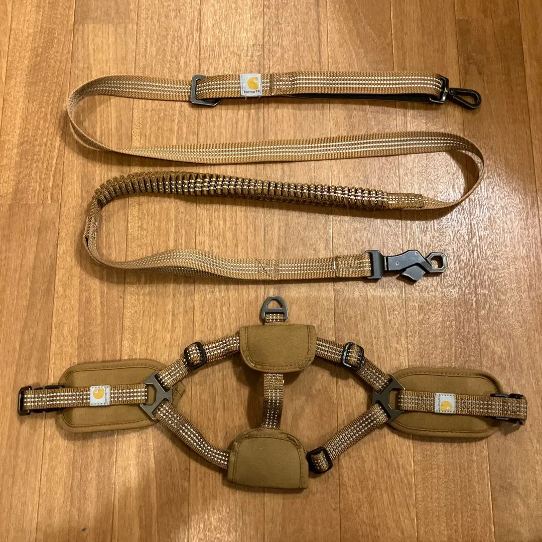 2026年最新】Carhartt 首輪・ハーネス・リードの人気アイテム - メルカリ