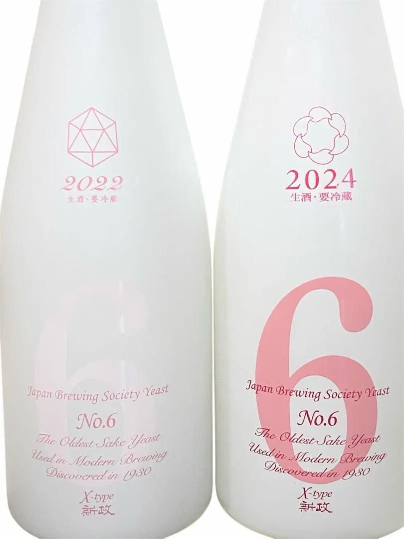 2026年最新】新政 x-typeの人気アイテム - メルカリ