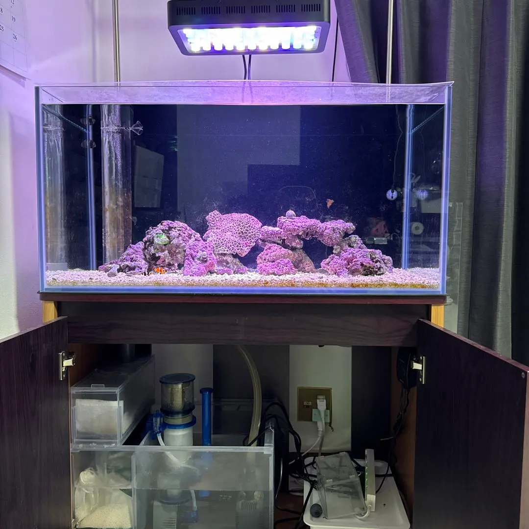 引き取り限定 90cm水槽&水槽台 引き取り限定」 NISSO 90cm 水槽台 引取