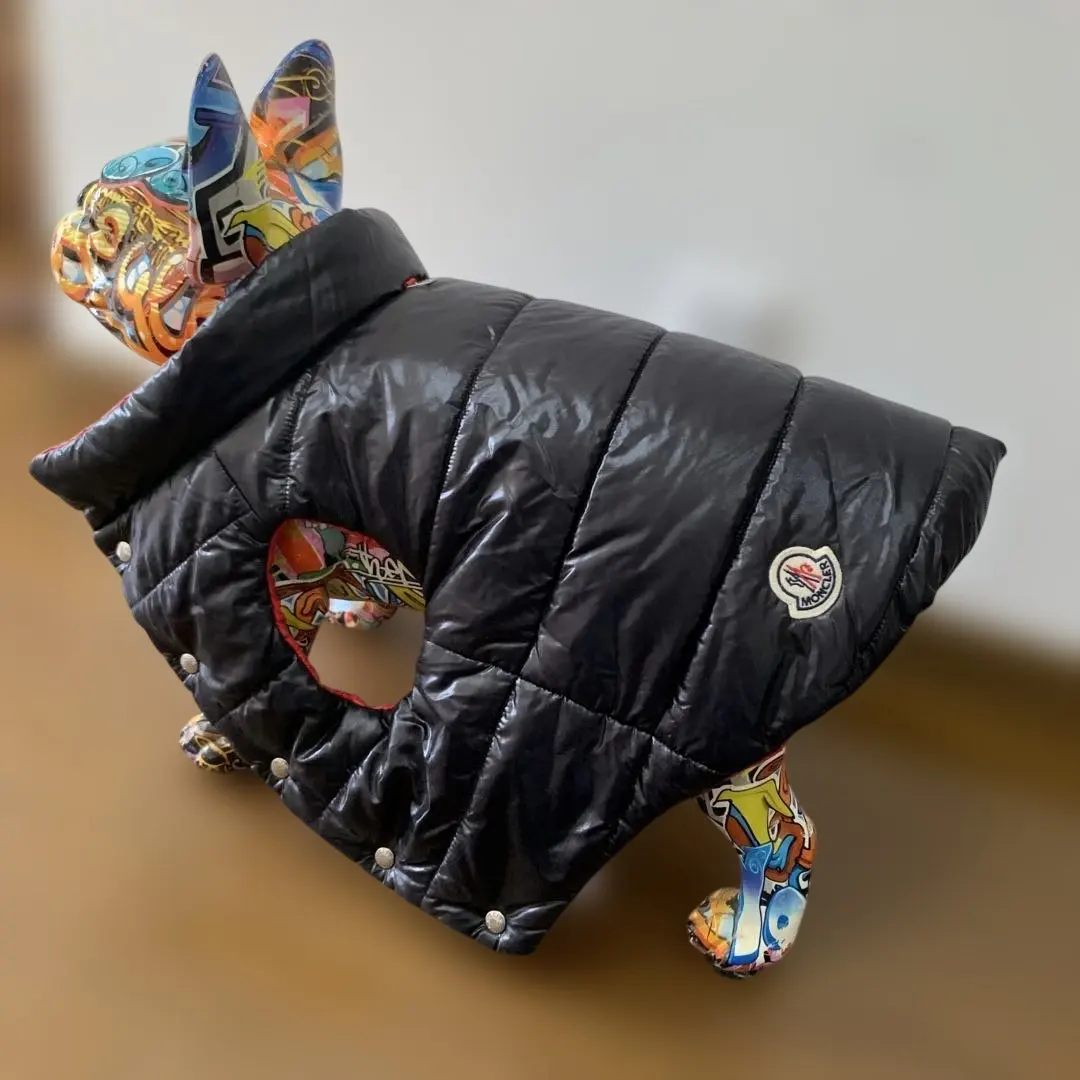 2025年最新】MONCLER犬服の人気アイテム - メルカリ MONCLER & Poldo