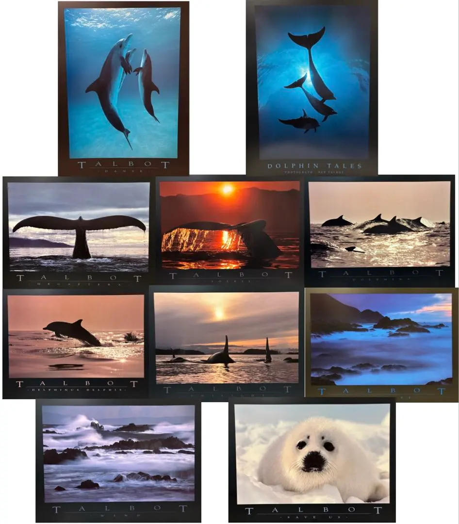 Bob Talbot 1992s Original Vintage