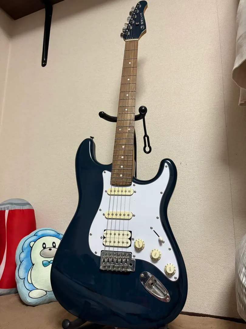 2026年最新】selva ギターの人気アイテム - メルカリ