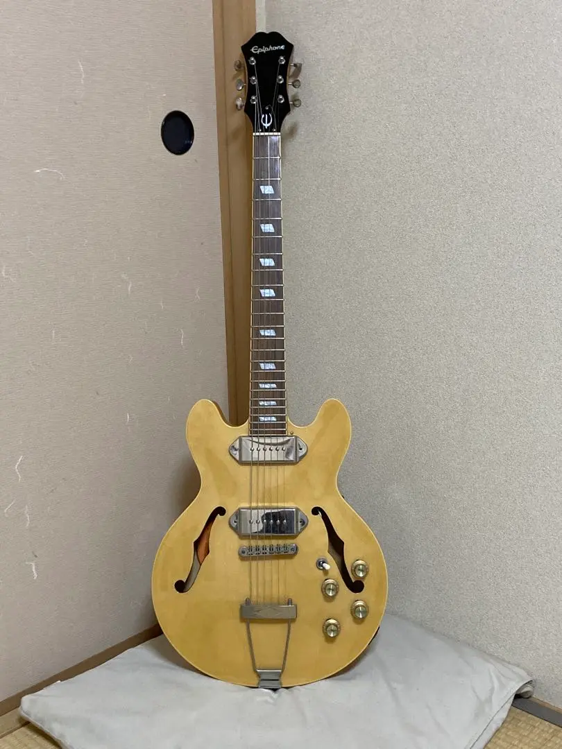 2026年最新】epiphone casino coupe ケースの人気アイテム - メルカリ