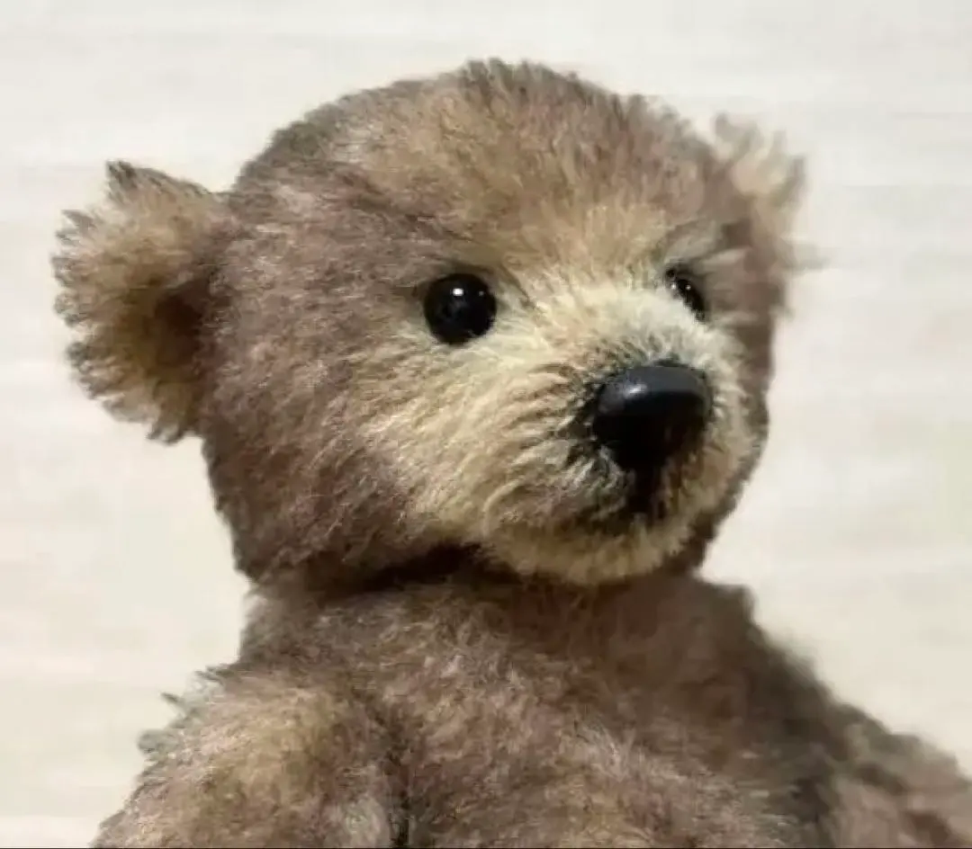 2025年最新】テディベア作家有名の人気アイテム - メルカリ アメリカ