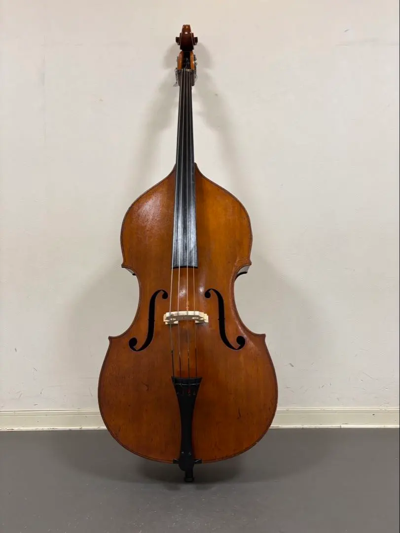 2026年最新】suzuki コントラバスの人気アイテム - メルカリ