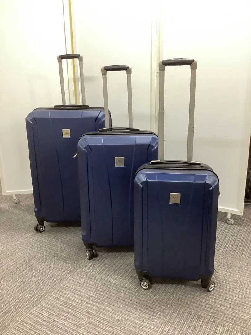 2026年最新】SKYWAYスーツケースの人気アイテム - メルカリ