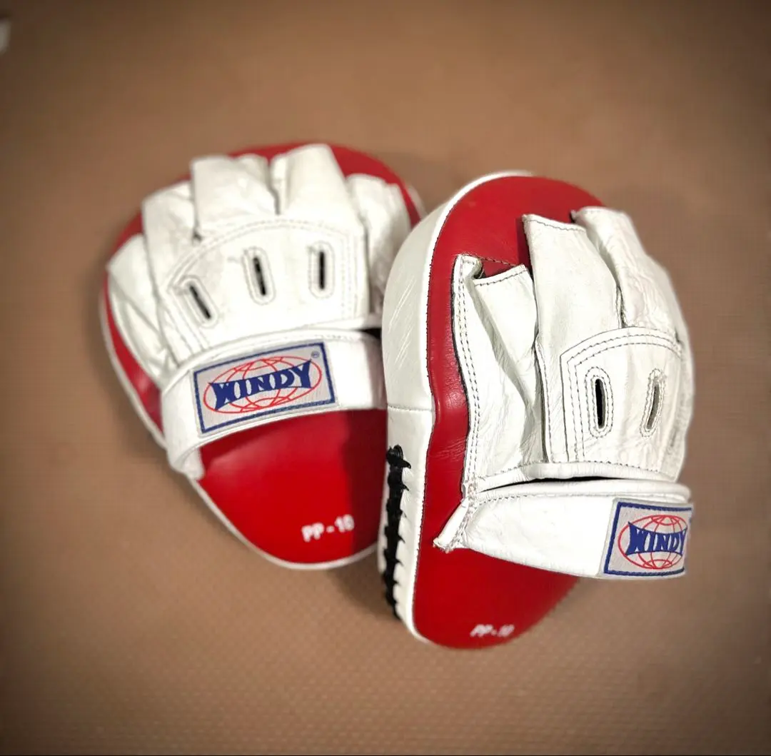 2026年最新】WINDY パンチングミットの人気アイテム - メルカリ