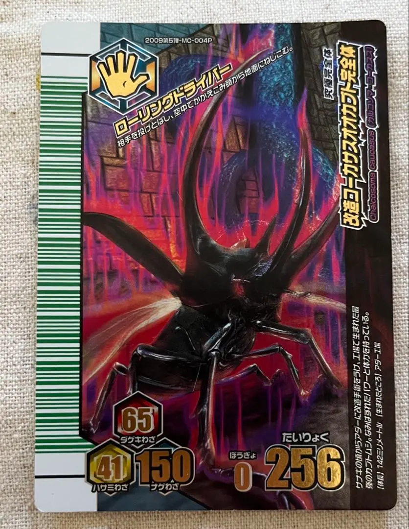 2026年最新】改造コーカサスオオカブトの人気アイテム - メルカリ