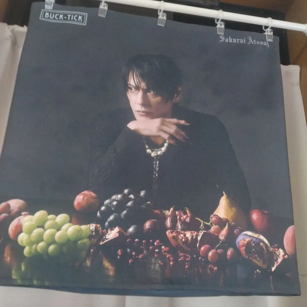 2026年最新】buck-tick クッションカバーの人気アイテム - メルカリ