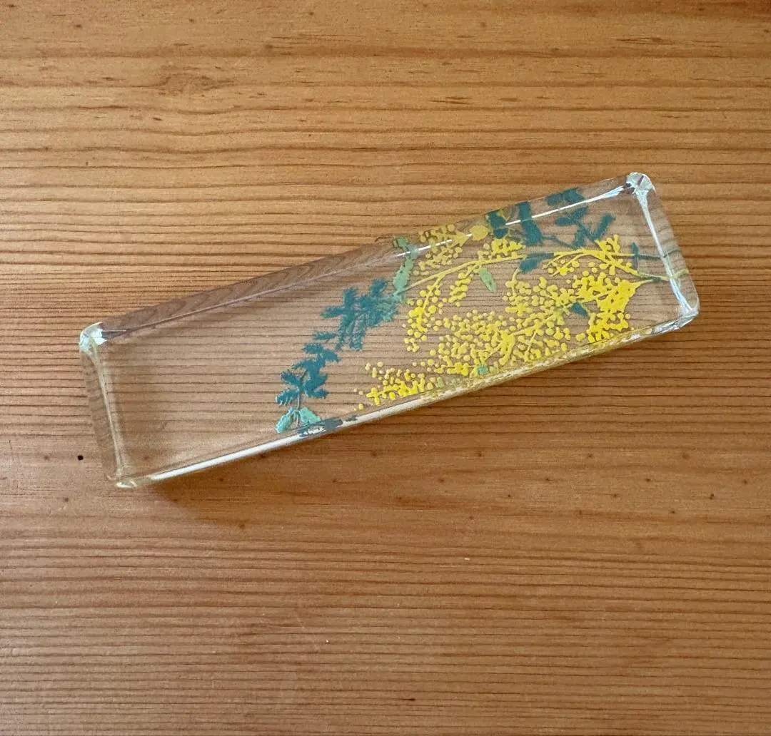 2026年最新】金津沙矢香の人気アイテム - メルカリ