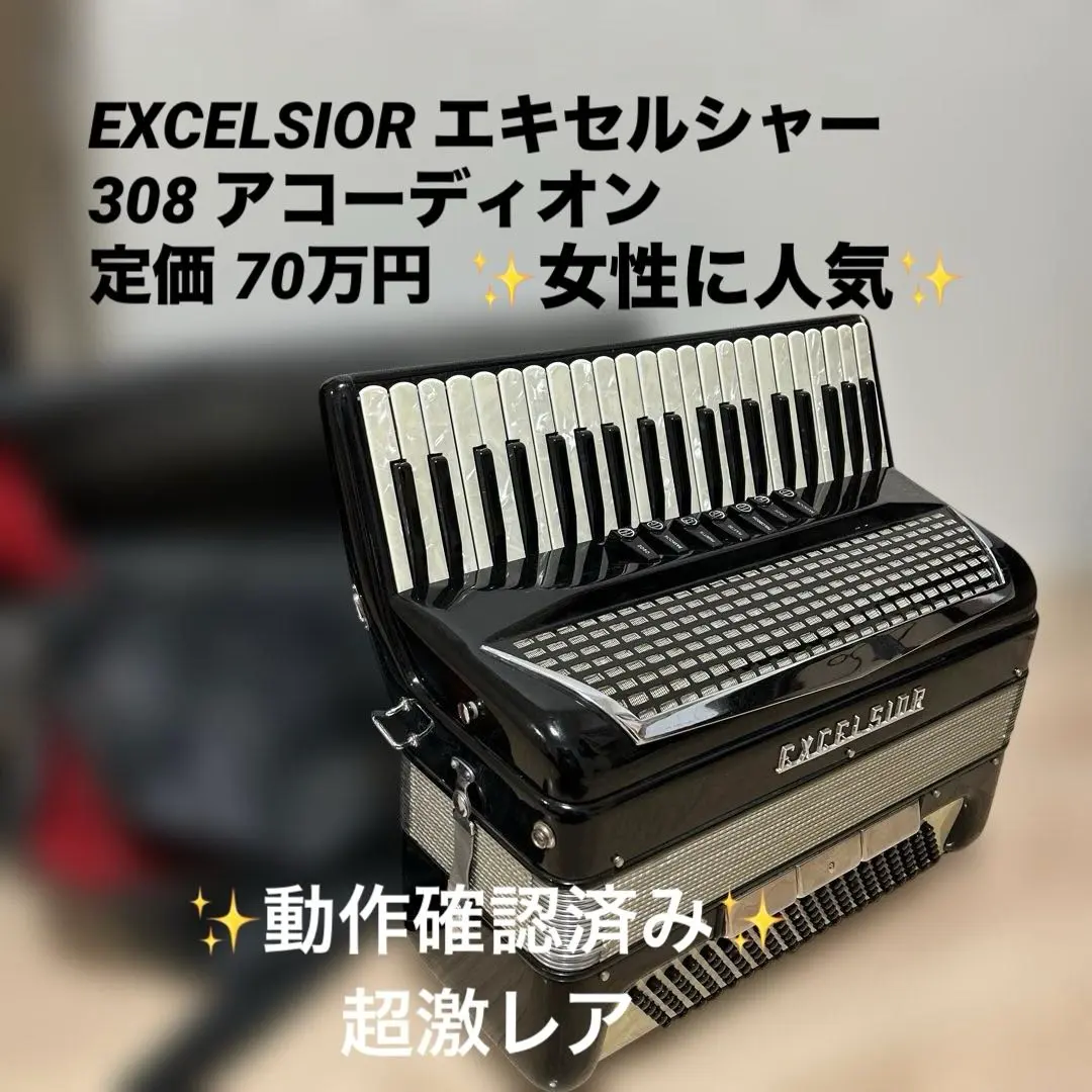 EXCELSIOR アコーディオン itary Model 306 現状品 2026年最新