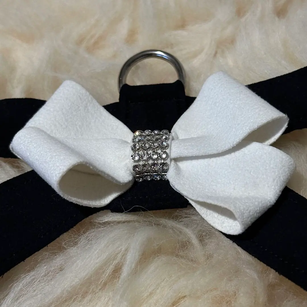 2026年最新】スーザンランシーの人気アイテム - メルカリ