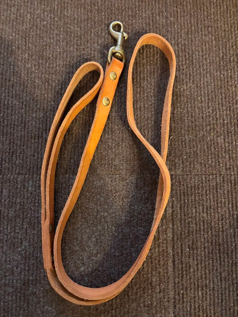 2026年最新】ILBISONTE 首輪・ハーネス・リードの人気アイテム - メルカリ