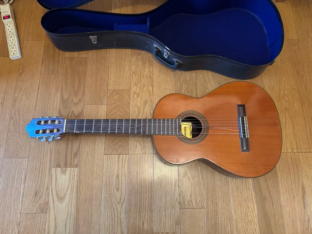 2026年最新】SHINANO GUITARの人気アイテム - メルカリ