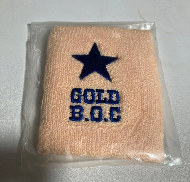 2026年最新】国内アーティスト：Bump of Chicken ラバーバンドの人気