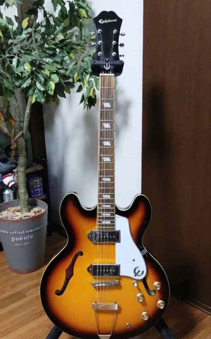 2026年最新】epiphone casino ハードケースの人気アイテム - メルカリ