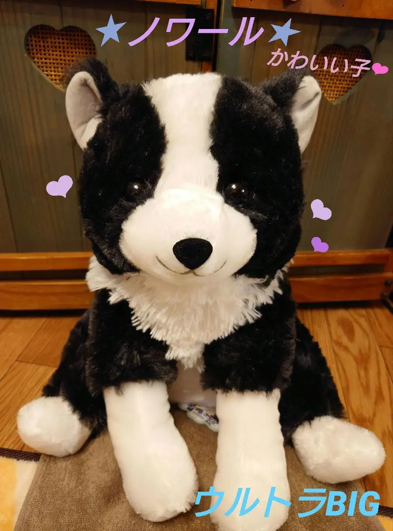 くったりボーダーコリー【新作】おりこうさん STコンプリート