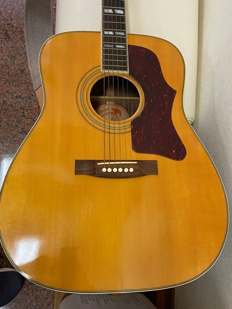 2026年最新】チャキ ギターの人気アイテム - メルカリ