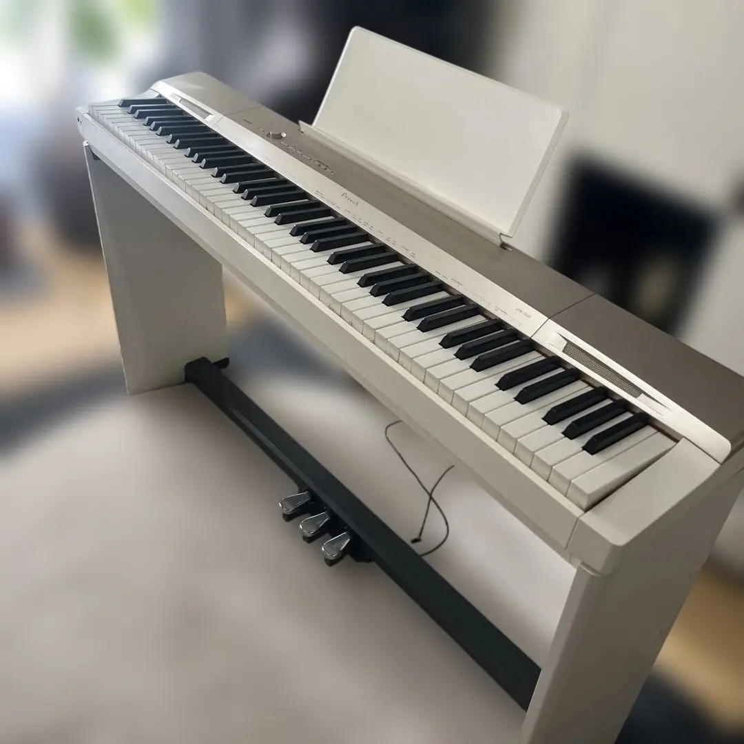 2026年最新】px-160 casioの人気アイテム - メルカリ