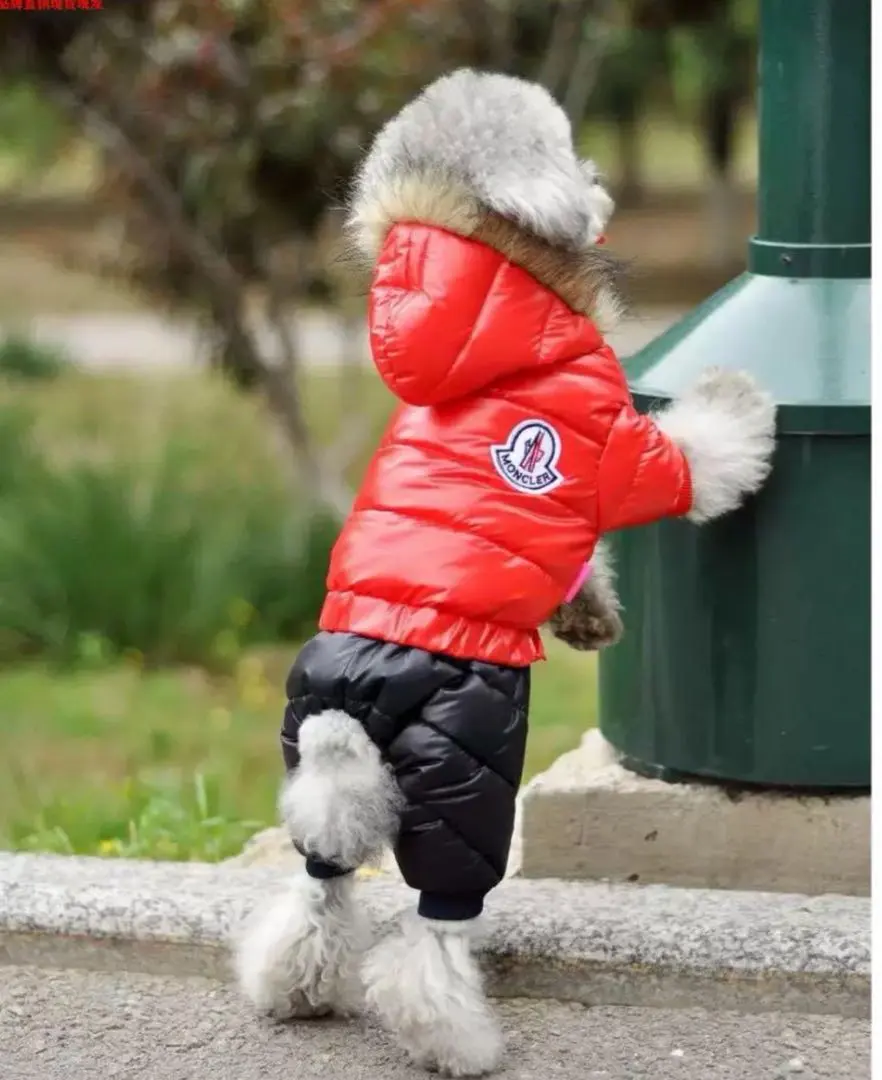 モンクレール犬用ダウンジャケット格安出品