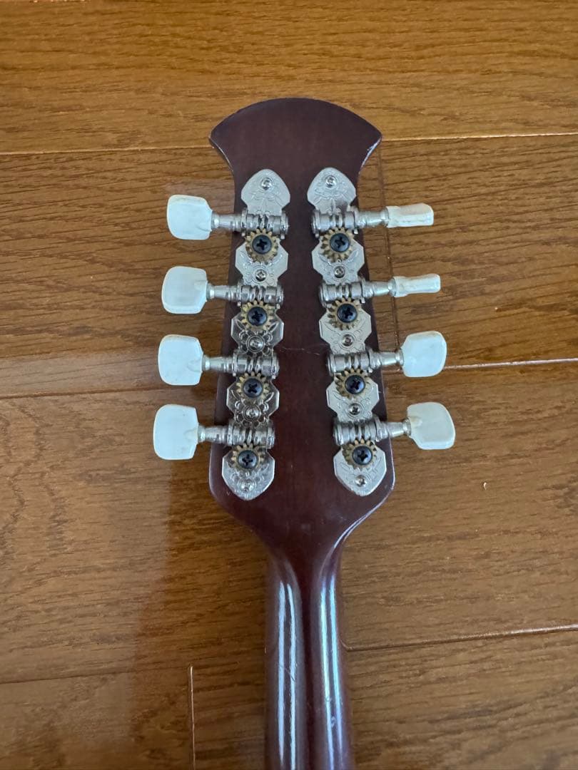 マンドリン スズキ M-20