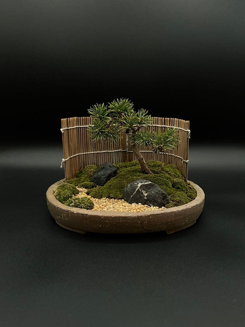 盆栽鉢丸鉢桑津香石植木鉢山野草絵鉢 盆栽鉢 桑津香石 山野草 ミニ盆栽