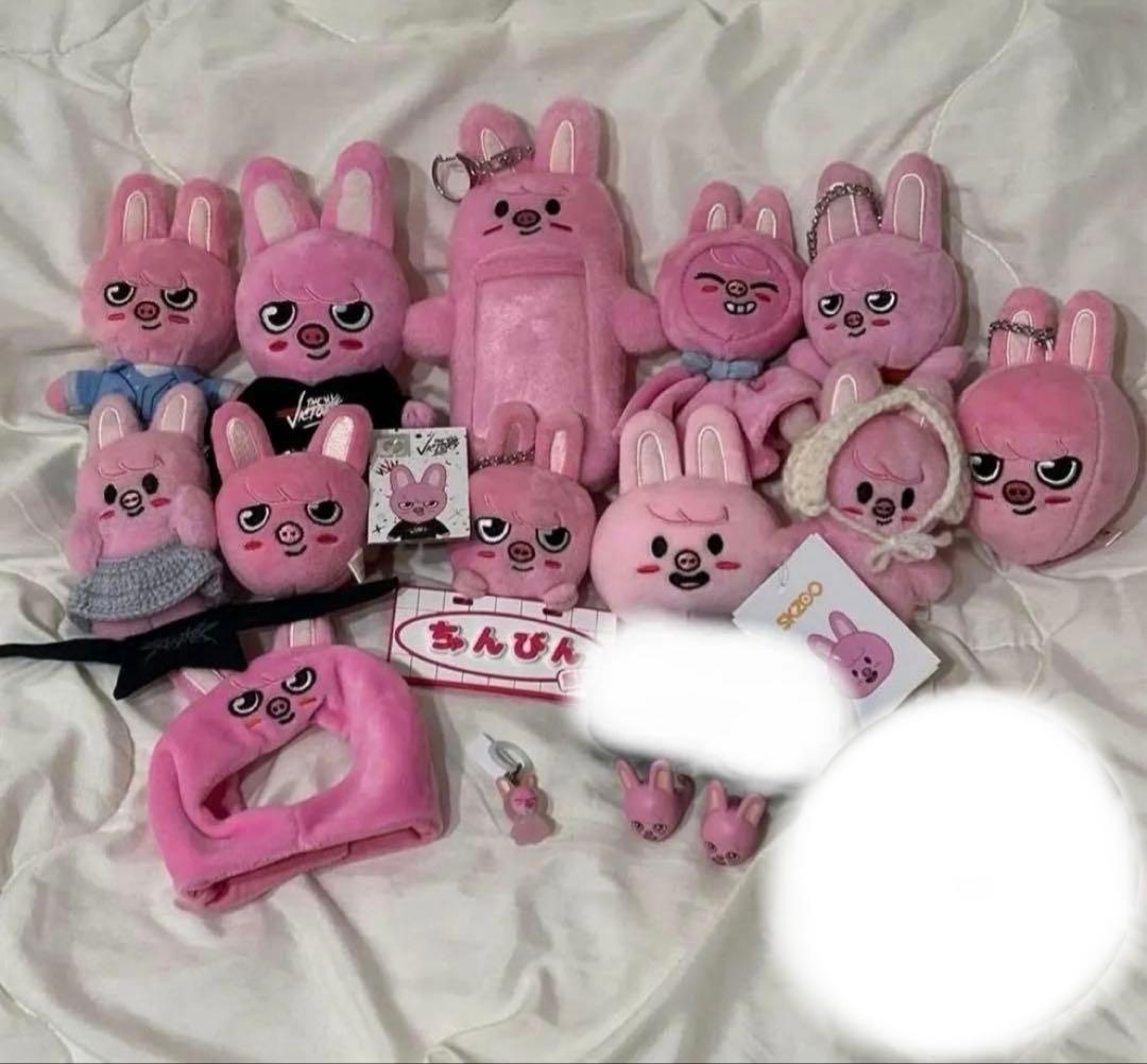 StrayKids チャンビンSKZOO DWAEKKI トゥエッキ - メルカリ