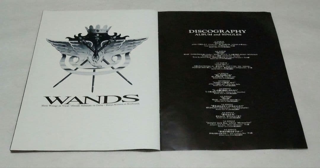 WANDS LIVE JUNK 1st ファンクラブ 限定 パンフ 90年代希少 - メルカリ