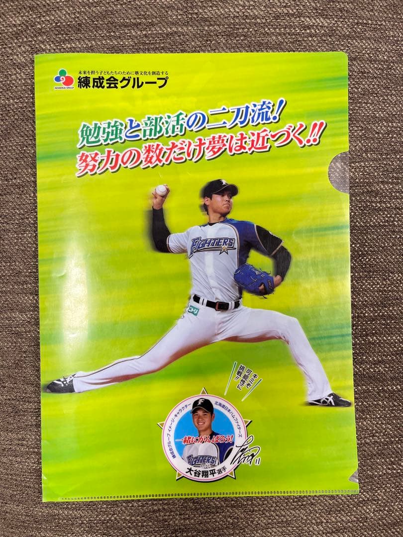 レア【大谷翔平】日本ハムファイターズクリアファイル