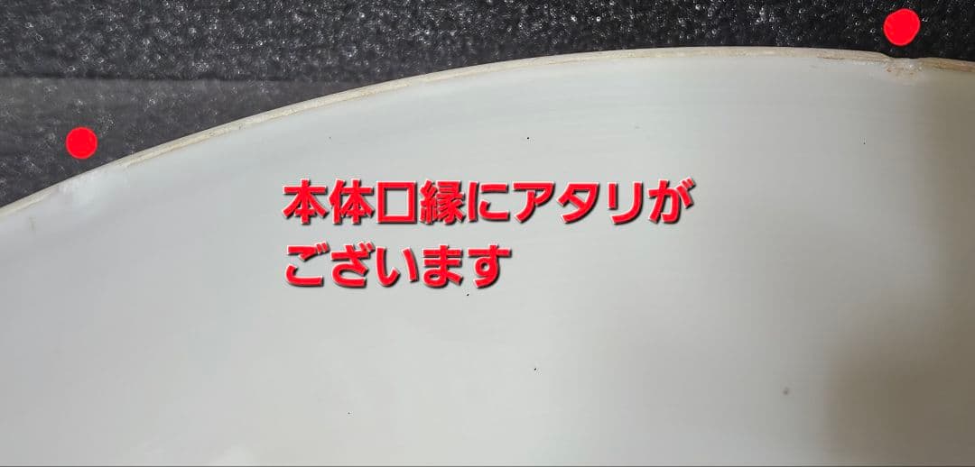 中国陶磁器【大清光緒年製銘】五爪の龍の図 径27.2