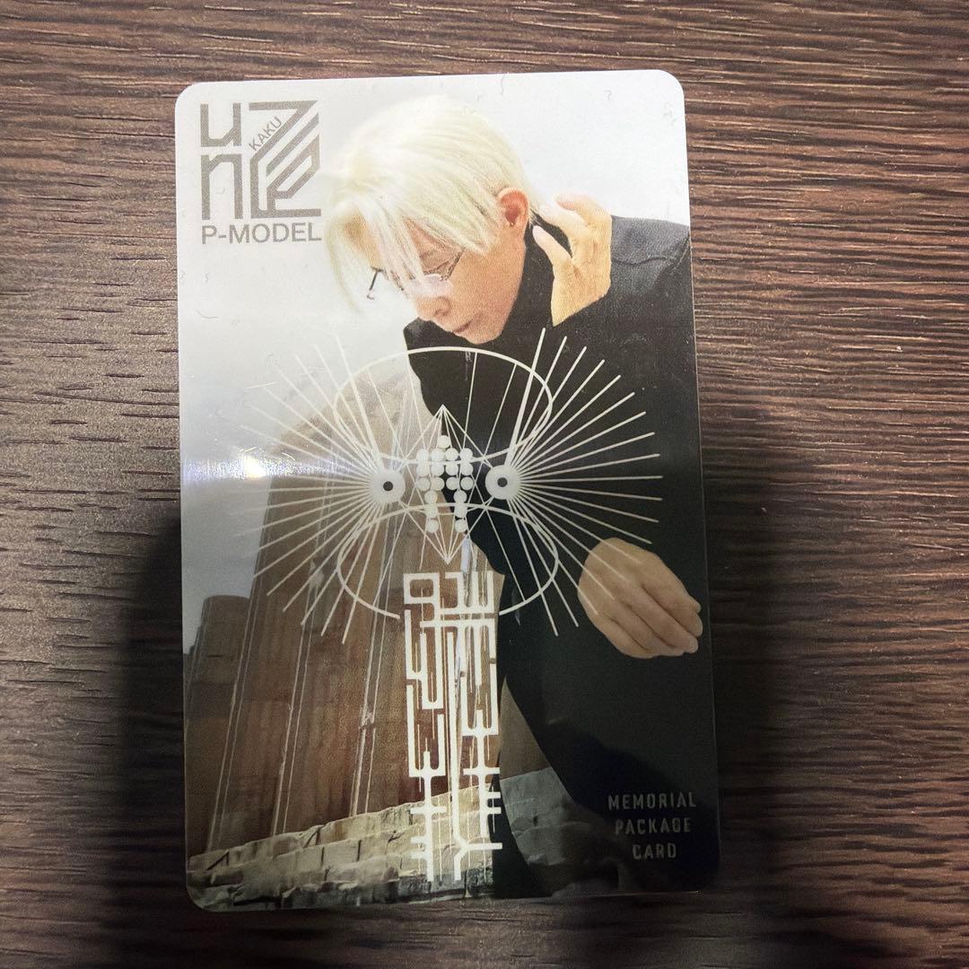 平沢進 核P-MODEL unZIP メモリアル・パッケージカード - メルカリ