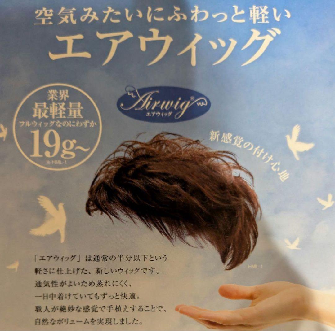 医療向けウィッグ　MALIBU HML-2 エアウィッグ　ほぼ未使用品！