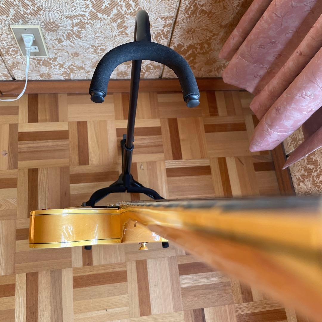 エピフォン　シェラトン