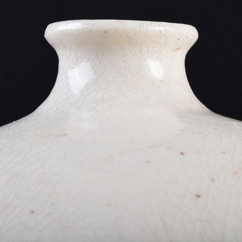 中国 定窯 白磁 刻神獣文 梅瓶 C R9370 - メルカリ