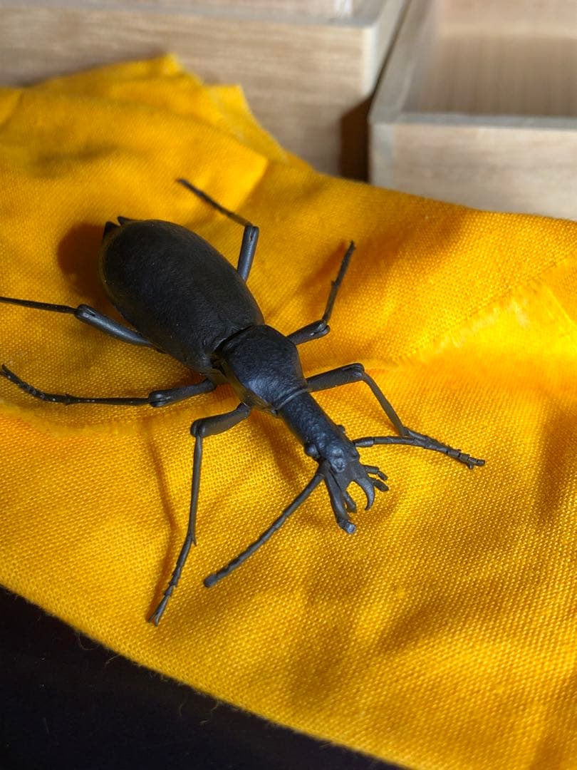 海鳴りさん専用出品 満田晴穂氏作品 自在置物 マイマイカブリ - メルカリ