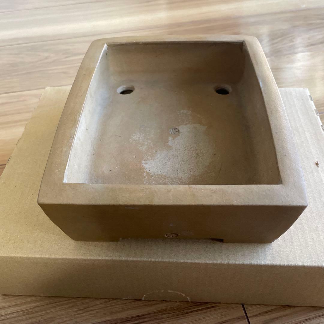 盆栽鉢 植木鉢 落款印 長方形 大きめ シンプル 山野草